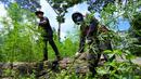 Anggota Badan Narkotika Nasional (BNN) mencabut tanaman ganja saat penggerebekan pada jalur hutan di Lamteuba, Provinsi Aceh, 18 Mei 2022. (CHAIDEER MAHYUDDIN/AFP)