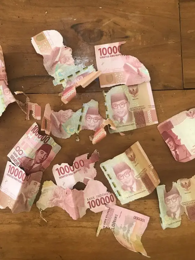 6 Momen Apes Uang Tabungan Dimakan Rayap Ini Bikin Nyesek Banget