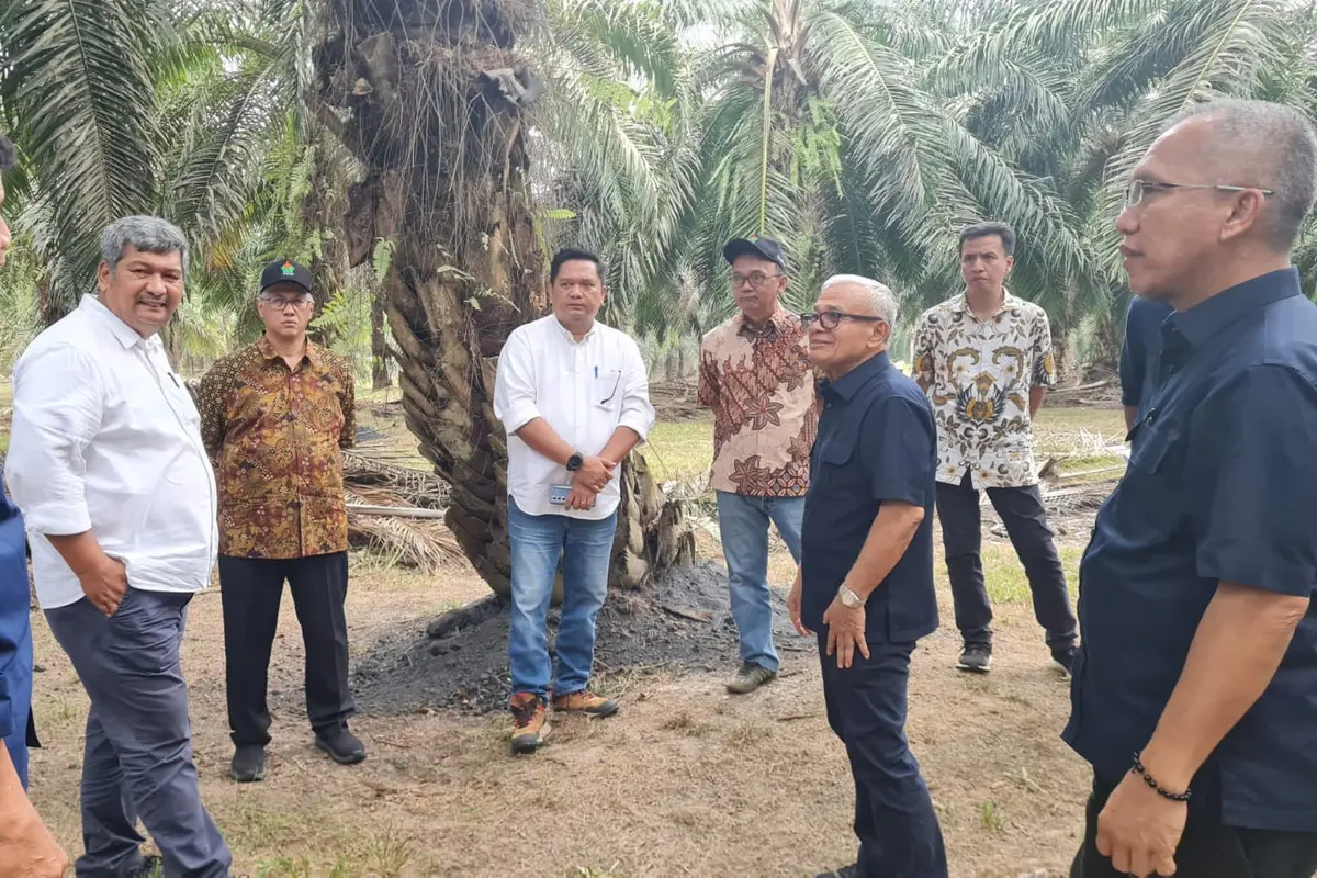 Dewan Komisaris PTPN IV melakukan kunjungan kerja selama dua hari (Selasa-Rabu, September 2024) ke Regional 7 yang meliputi Kebun dan PKS Betung, Betung Krawo, serta Rejosari. Foto : (Istimewa).