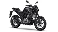 Yamaha R25 dan MT-25 Terbaru Meluncur di Indonesia Tanpa Seremoni