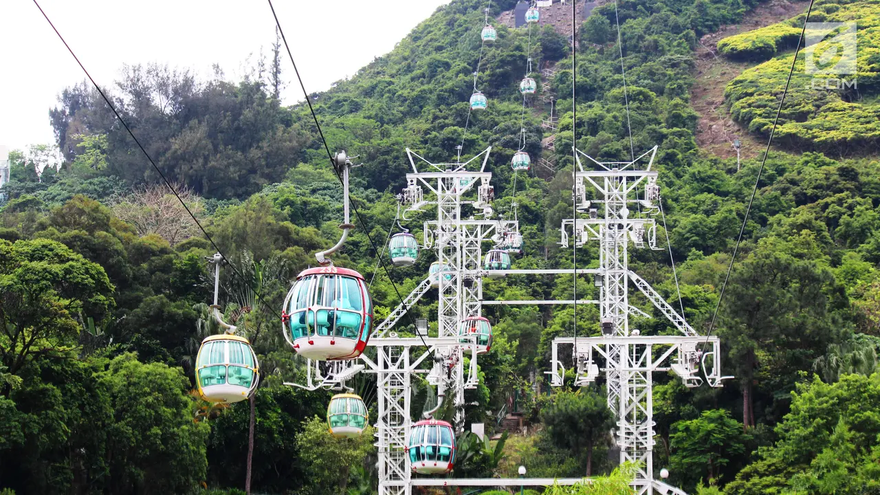 Liburan Seru Sambil Belajar di Ocean Park Hong Kong