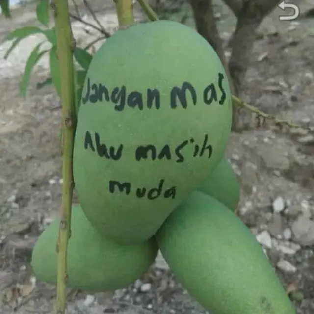 6 Tulisan Peringatan di Barang Agar Tidak Dicuri Ini Bikin Tepuk Jidat