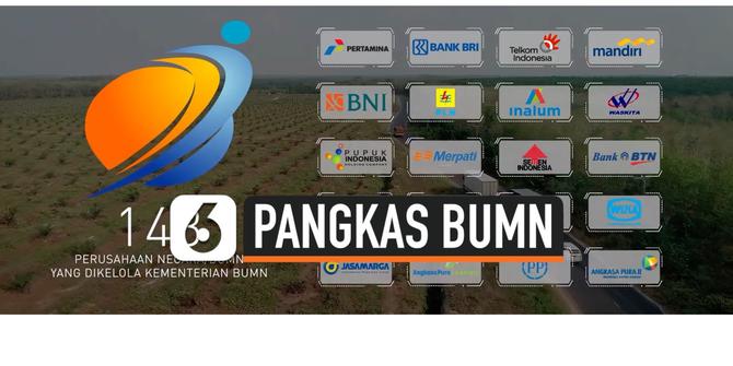 VIDEO: Erick Thohir Bakal Pangkas BUMN Jadi 100 Perusahaan