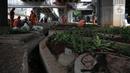 Sejumlah petugas PPSU menanam pohon di kolong Tol Becakayu, Jakarta, Kamis (12/1/2023). Pemerintah Provinsi DKI Jakarta melakukan penataan lahan melalui program penghijauan sepanjang lima kilometer di tepi saluran Kalimalang  kolong tol Bekasi Cawang Kampung Melayu (Becakayu), Jakarta Timur untuk menjaga mutu air baku Jakarta. (Liputan6.com/Faizal Fanani)