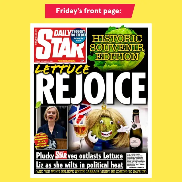 Meme Selada dari Daily Star. (Daily Star/Facebook)
