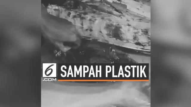 Viral sebuah video memperlihatkan isi perut ikan mahi-mahi berisi berbagai limbah plastik. Ikan mahi-mahi itu dibeli seorang wanita dari pasar nelayan di Ujunggenteng, Sukabumi.