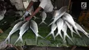 Pedagang menyirami ikan bandeng dagangnnya di kawasan Rawa Belong, Jakarta, Rabu (14/2). Pedagang mengaku permintaan ikan bandeng meningkat jelang Tahun Baru Imlek. (Liputan6.com/Arya Manggala)