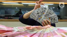 Pegawai menghitung mata uang Rupiah dan Dolar AS di salah satu gerai penukaran uang di Jakarta, Rabu (26/6/2024). (Liputan6.com/Angga Yuniar)