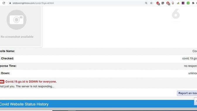 Portal Covid-19.go.id Tak Dapat Diakses via Down for Everyone or Just Me . Liputan6.com/Mochamad Wahyu Hidayat