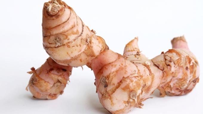 Image result for lengkuas png