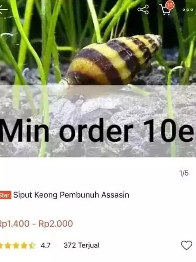 7 Potret Promosi Barang Dagangan di Online Shop Ini Absurd Banget
