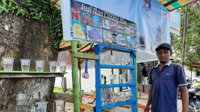 Efendi, 37 tahun, penjual ikan cupang di pinggiran jalan Meulaboh-Tapak Tuan. Foto diambil di waktu yang berbeda dengan waktu wawancara (Liputan6.com/Rino Abonita)