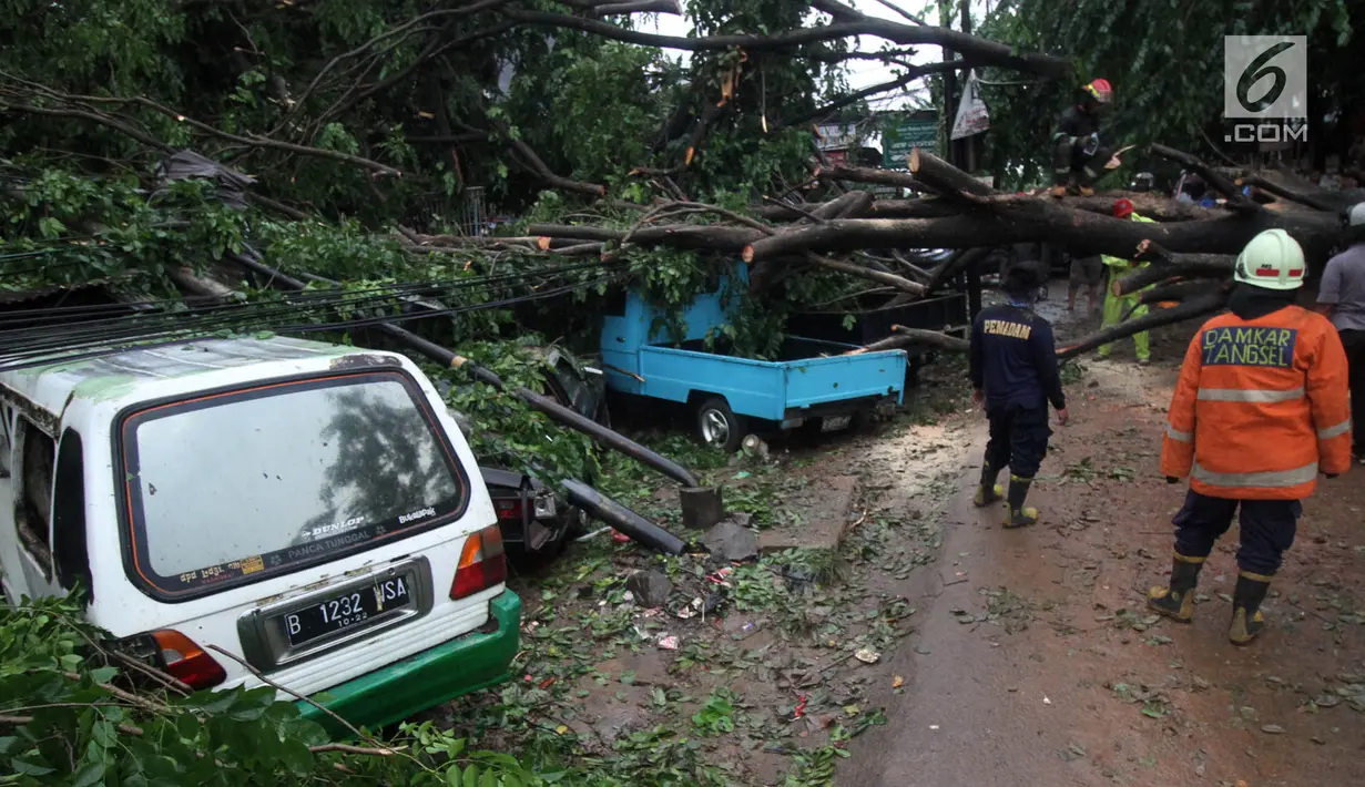 Sejumlah mobil tertimpa pohon akibat Hujan dan Angin di wiliyah Serua, Ciputat, Rabu (12/12). Hujan beserta angin yang mengguyur sejumlah wilayah kota Tangerang Selatan membuat pohon besar tumbang menimpa mobil. (merdeka.com/ arie basuki)