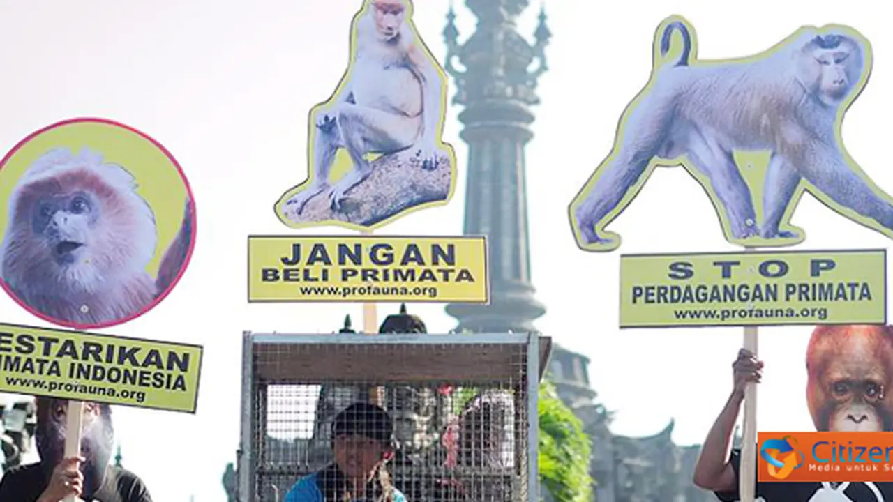 Save Indonesian Primate