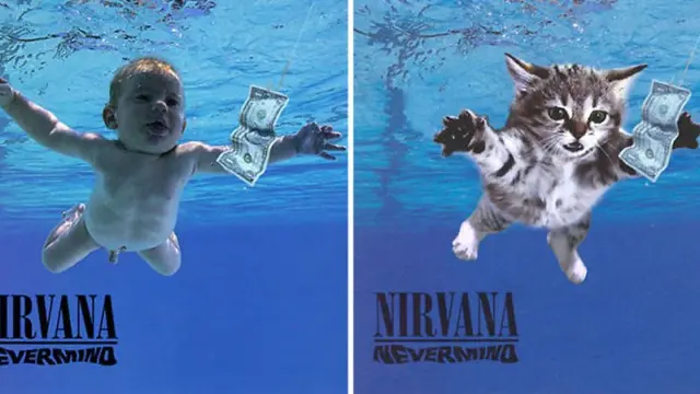 [Bintang] Ketika 10 Cover CD Ini Modelnya Diganti Sama Kucing! Gemas Parah!