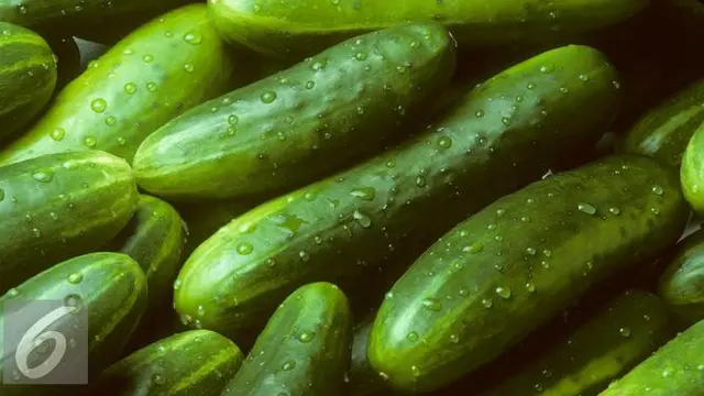 20151020-Sayur Mentimun