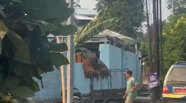 Terungkap Jalur Pelarian Orang Utan dari Kandang ke Warung Ayam Goreng