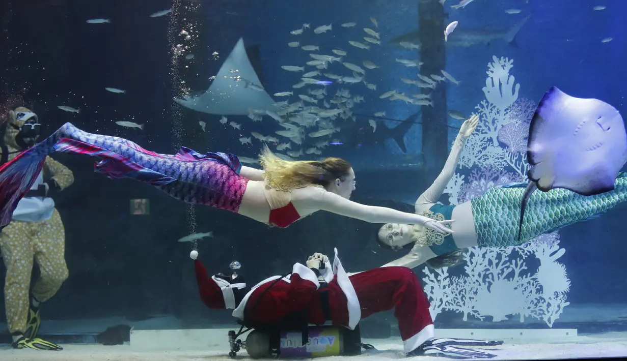 Penyelam mengenakan pakaian Sinterklas dan putri duyung saat beraksi di Coex Aquarium di Kota Seoul, Korea Selatan (4/12/2019). Natal menjadi salah satu hari libur nasional yang paling dinanti di Korea Selatan. (AP Photo/Ahn Young-joon)