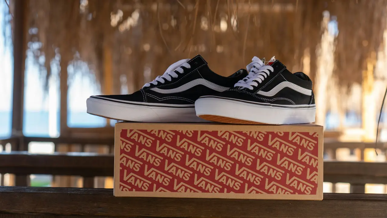 Vans Shoes
