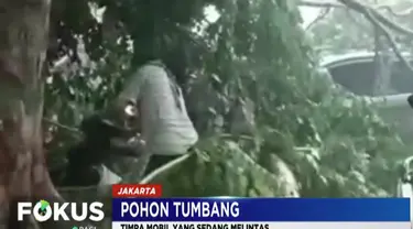 Warga langsung bergotong royong memindahkan dahan dan ranting pohon yang menutupi badan mobil agar mobil bisa dievakuasi.