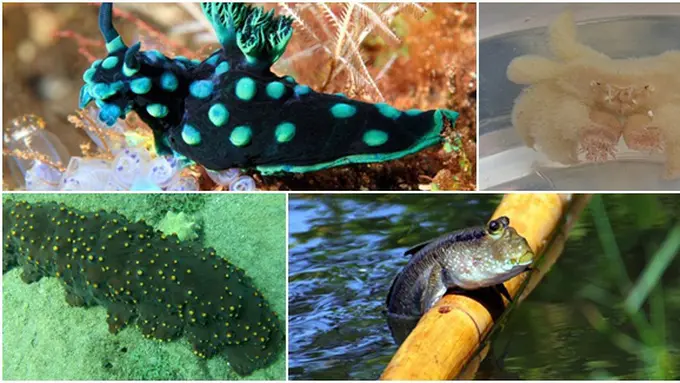 Foto: thinkstockphotos.com