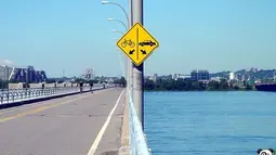 Sepeda di jalan, mobil di air? (Source: boredpanda.com)
