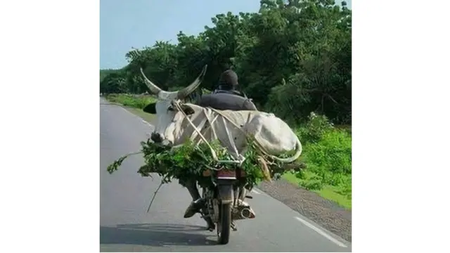 6 Aksi Nyeleneh Orang Saat Berkendara, Santai Sambil Mandi di Jalan Umum