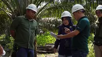 Emiten AALI Raih Laba Rp 373,40 Miliar hingga Maret 2026