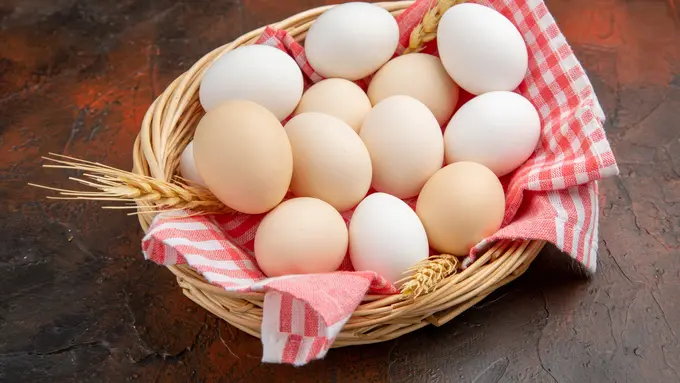 Ayam Bahagia Hasilkan Telur Fungsional, Pakar: Lebih Efektif Cegah Stunting