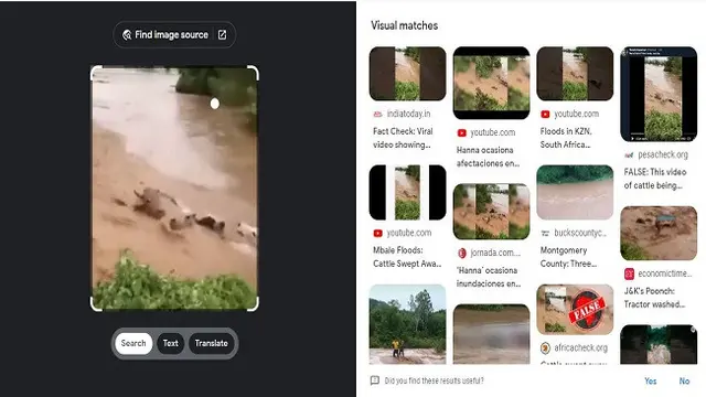 Gambar Tangkapan Layar Penelusuran Foto Menggunakan Situs Google Images.