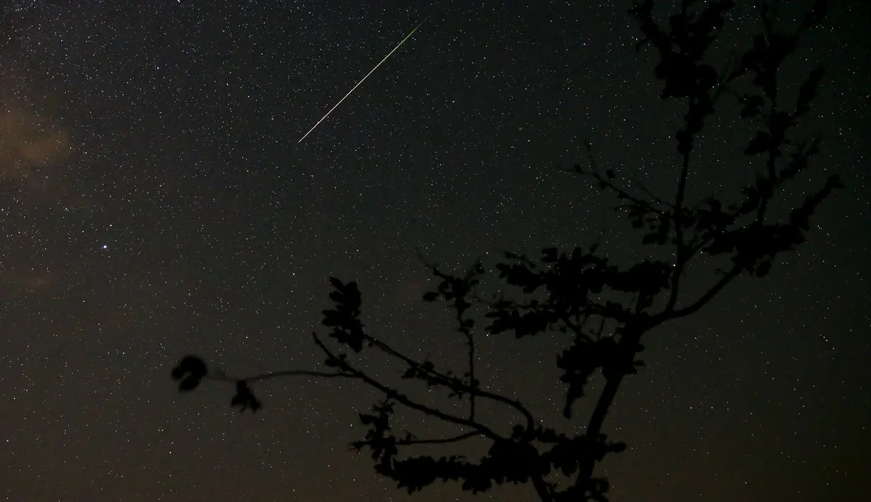 Sebuah pemandangan meteor jatuh terlihat di atas Gunung Smetovi, Zenica, Bosnia dan Herzegovina, Rabu (12/8/2015). Meteor jatuh tersebut merupakan bagian dari fenomena hujan meteor Perseid yang rutin terjadi setiap tahun. (REUTERS/Dado Ruvic)