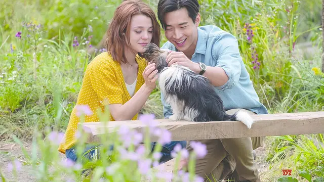 A Dog's Journey (DreamWorks)