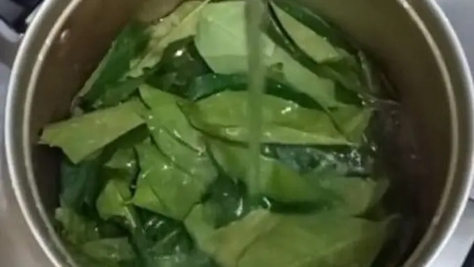Cara Sederhana Merebus Daun Salam untuk Tubuh Sehat