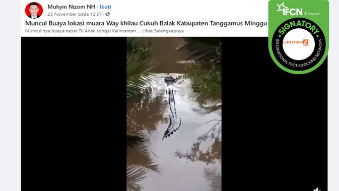 Hoaks kemunculan buaya di Lampung. (Facebook)
