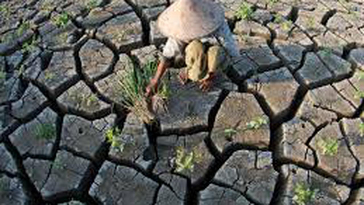 Mentan Siapkan Strategi Hadapi Badai El Nino