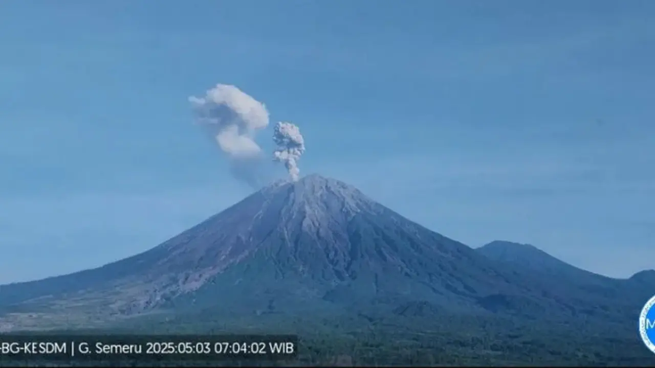 Gunung Semeru erupsi lagi, tinggi letusan 700 hingga 900 meter (Istimewa)