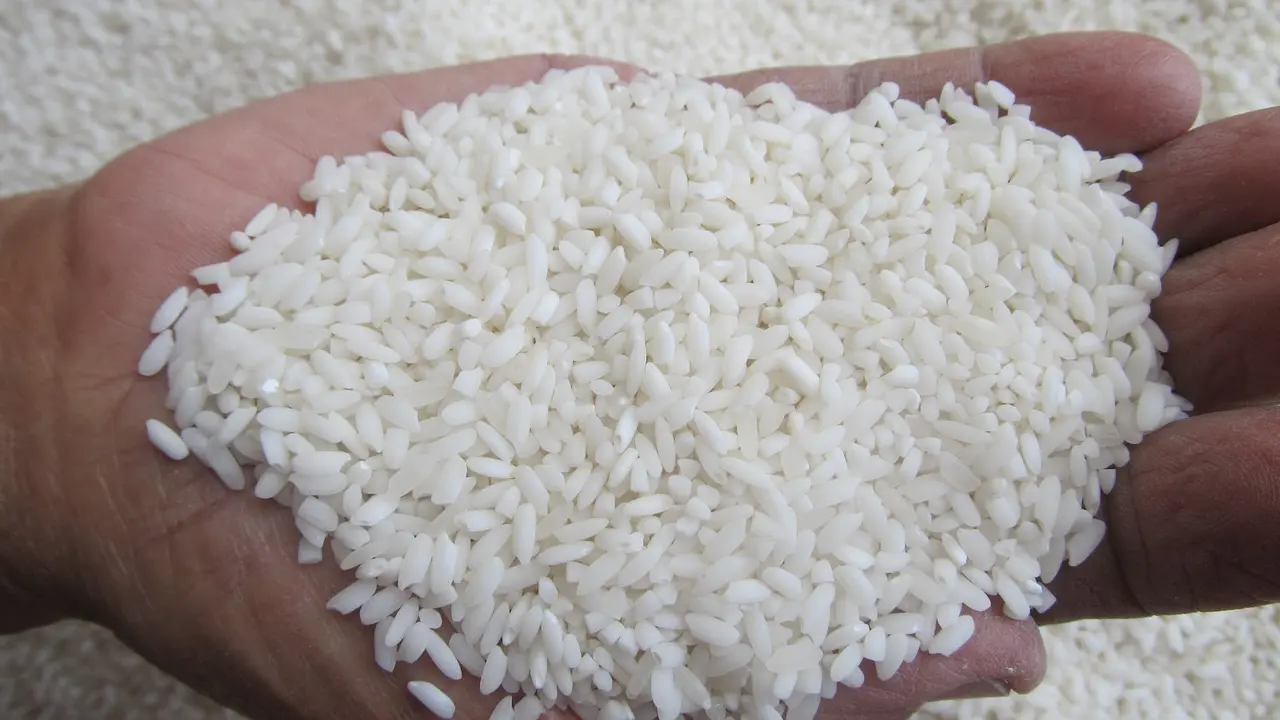 [Bintang] Beredar Beras Plastik, Berikut Alasan Kamu Nggak Harus Makan Nasi