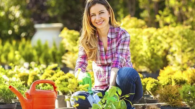 Copyright by Thinkstockphotos.com