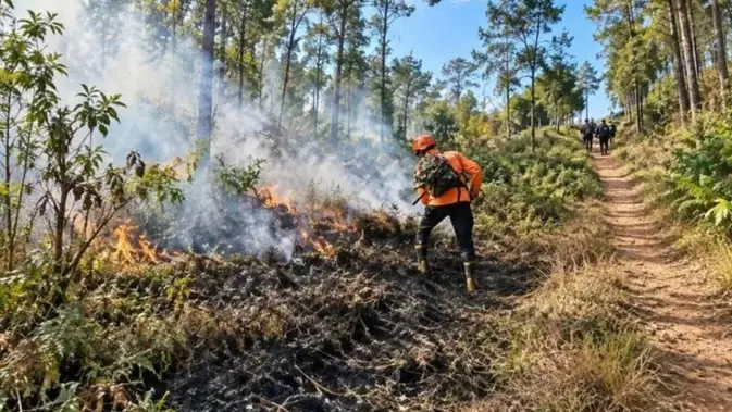Kebakaran Bromo Dekati Permukiman, Petugas Buat Sekat Bakar