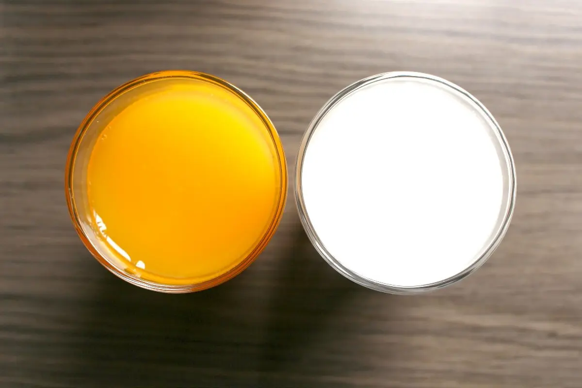 [Bintang] Kerap Jadi Menu Sarapan, Lebih Sehat Jus Jeruk Atau Susu?