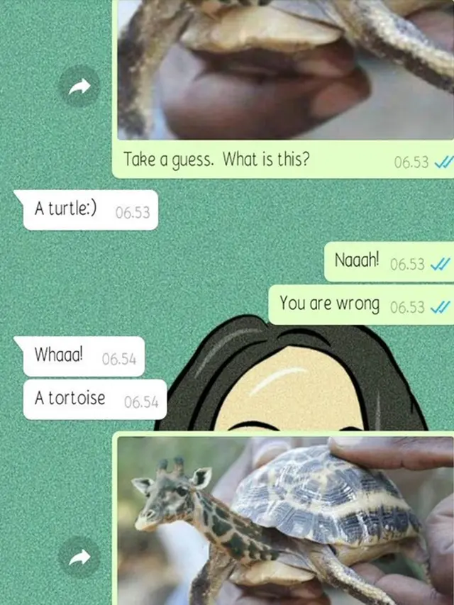 6 Chat Tebak Gambar Ini Sukses Bikin Kamu Ikut Emosi