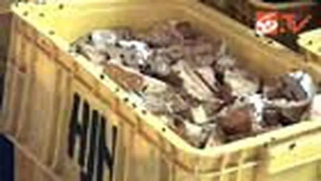 Tempe Hasil Razia Dibiarkan Membusuk