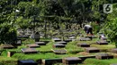 Petugas merawat makam di Tempat Pemakaman Umum (TPU) Karet Bivak, Jakarta, Selasa (11/5/2021). Pemprov DKI akan memberlakukan larangan ziarah kubur Idulfitri di seluruh TPU mulai 12 hingga 16 Mei untuk mencegah terjadinya penyebaran Covid-19 saat berkumpul untuk berziarah. (Liputan6.com/JohanTallo)