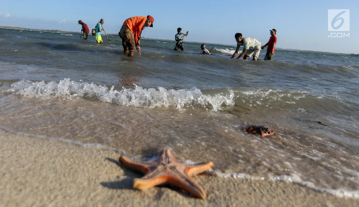 <p>Warga mencari kerang laut di pesisir pantai Pulau Pasir, Lombok Timur, Sabtu (3/8/2019). Mereka mulai menangkap kerang ketika Pulau Pasir yang membentang laut akan tampak ketika air laut surut. (Liputan6.com/Fery Pradolo)</p>