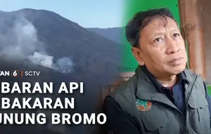 Kebakaran Jemplang Imbas Api Gunung Bromo Berangsur Padam, Petugas Tetap Siaga