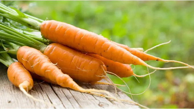 Courtesy ShutterStock.com