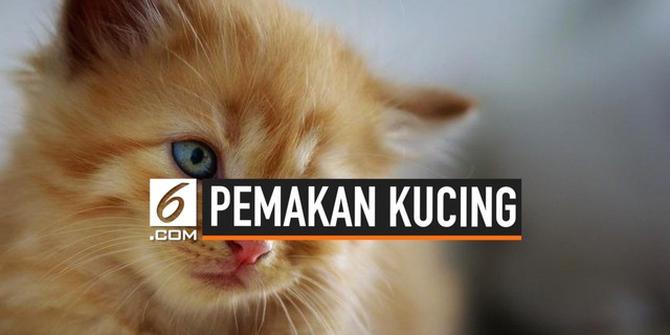 VIDEO: Polisi Buru Pria Pemakan Kucing Hidup-Hidup