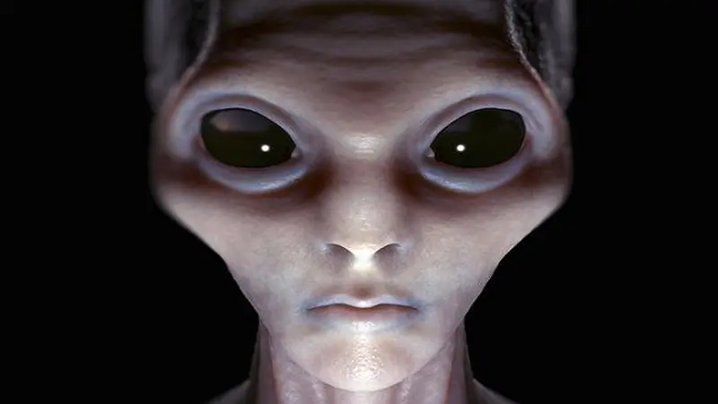 Wanita ini Tak Sengaja Selfie Bareng 'Alien' di Pesawat