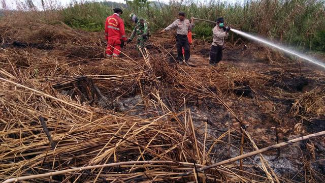 Tim gabungan Manggala Agni dan TNI Polri, bersama memadamkan api di lahan gambut Kolaka Timur.(Liputan6.com/Ahmad Akbar Fua)