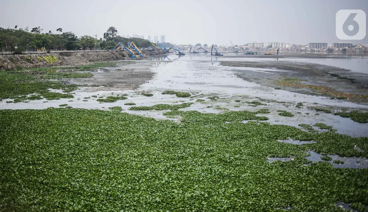 Alat berat mengeruk lumpur di Waduk Pluit, Jakarta, Rabu (30/10/2019). Pengerukan Waduk Pluit ditargerkan rampung pada November 2019. (Liputan6.com/ Faizal Fanani)